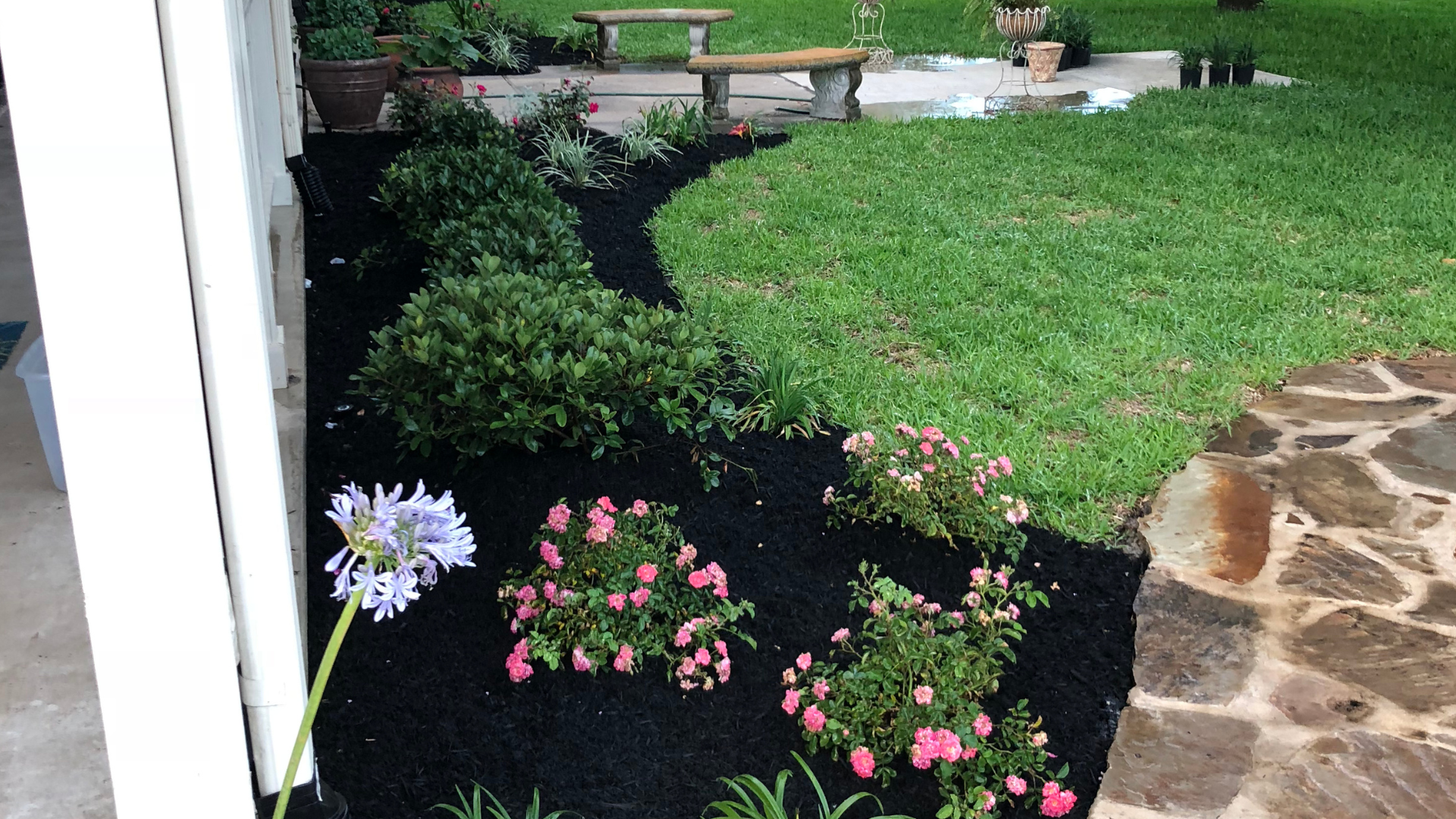 Professional landscape installation and lush green lawn at a Bryan or College Station, TX property by C&C Lawn & Irrigation