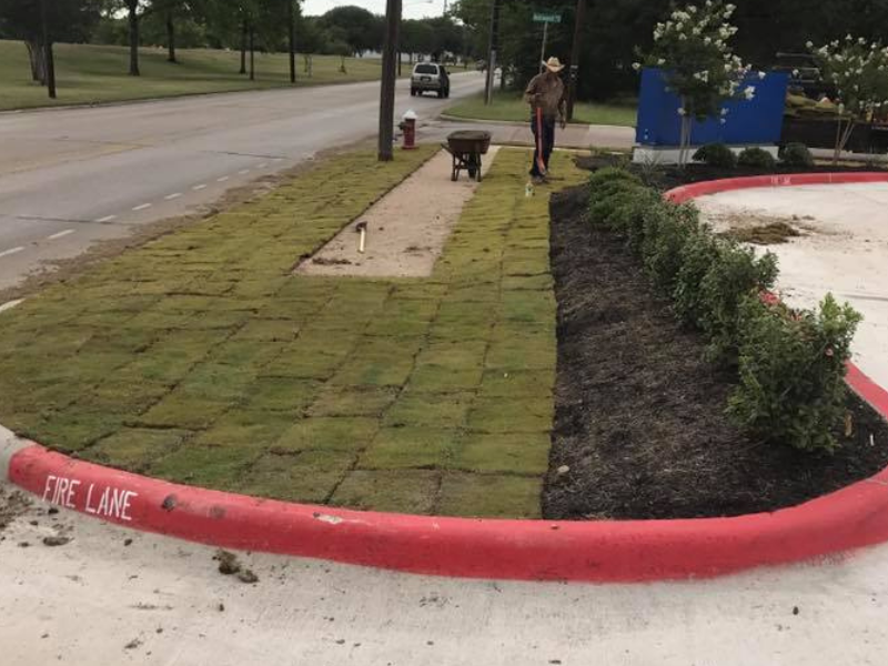 Landscape Sod Installation