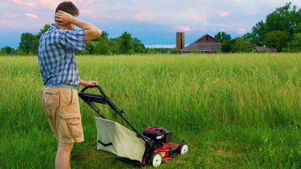 How Often Should I Mow My Lawn?