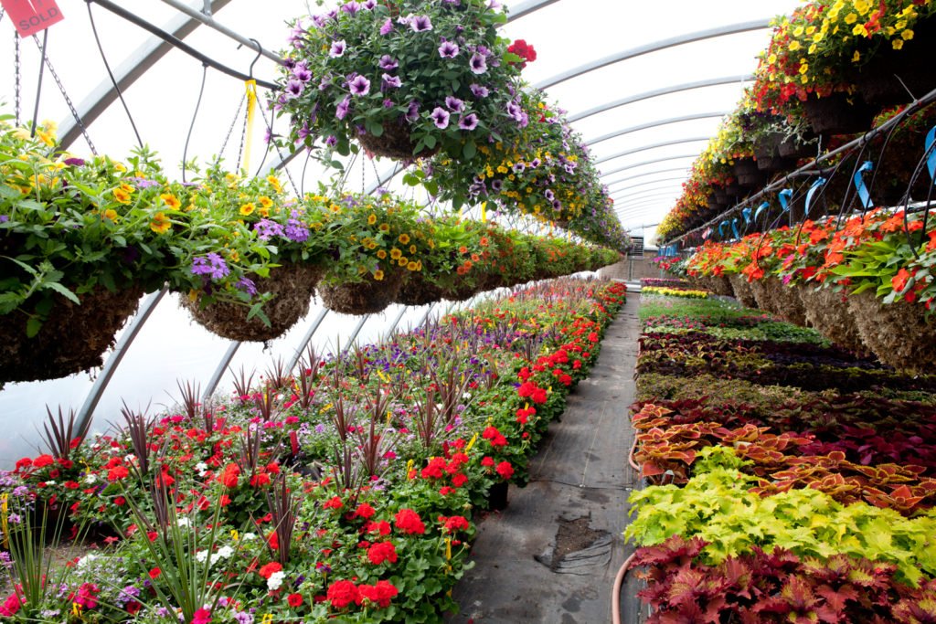 Flower & Plant Installation Services in College Station & Bryan, TX